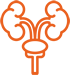 Urologia